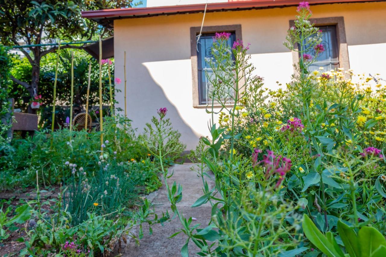 리예카 Little Garden House 빌라 외부 사진